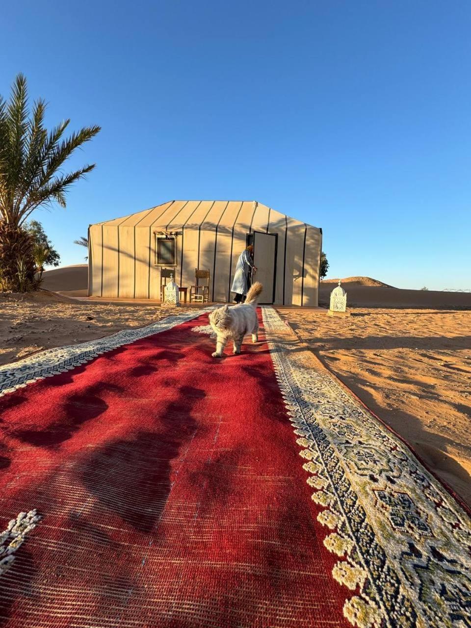 Nomad Camp Merzouga Ngoại thất bức ảnh